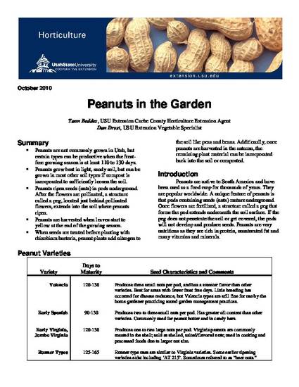 Peanuts in the Garden